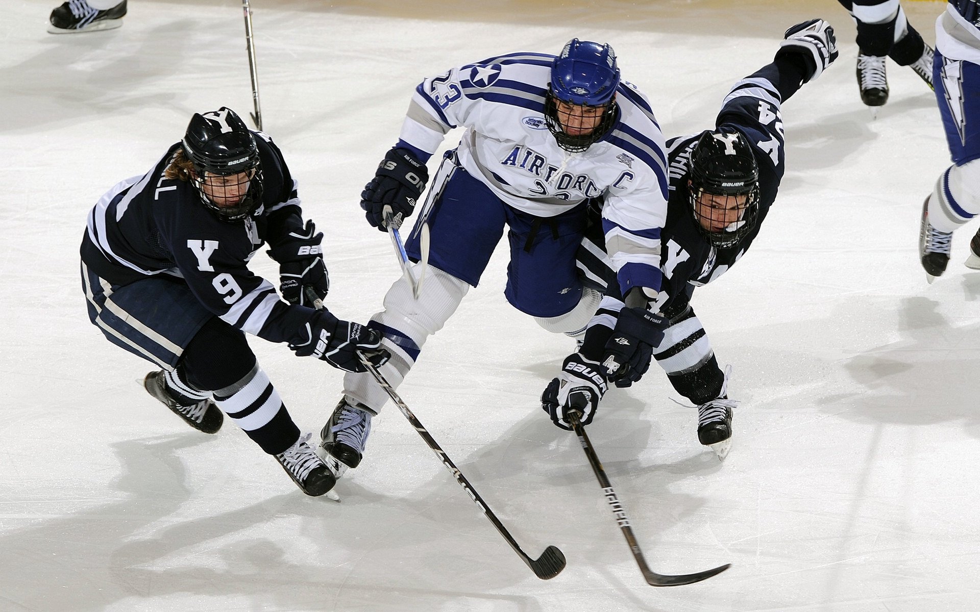 德甲速度奔放：攻防快节奏引爆全场！，德甲最快球员